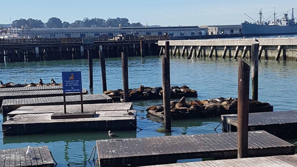 Pier 39 San Francisco